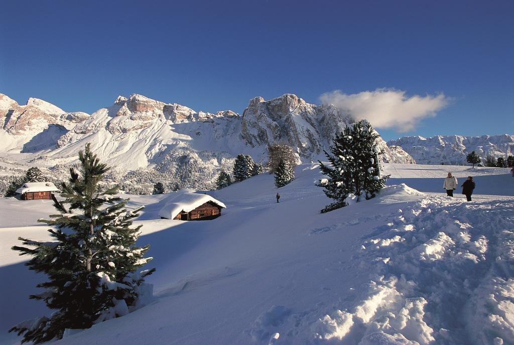 Santa Cristina Val Gardena Apartments La Baita المظهر الخارجي الصورة