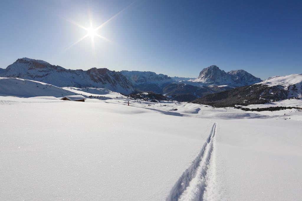 Santa Cristina Val Gardena Apartments La Baita المظهر الخارجي الصورة